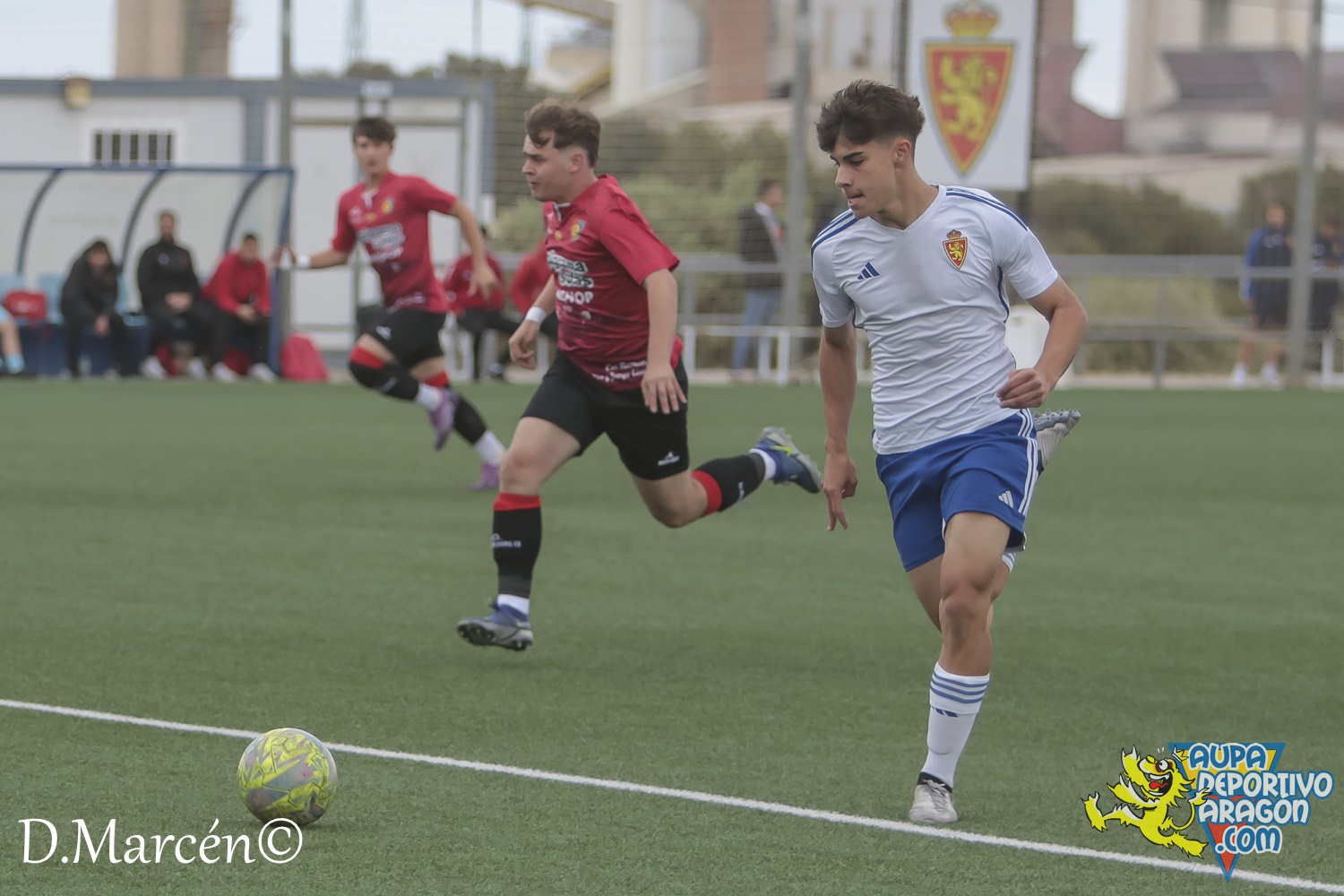 38 - 19-05-2024 - LNJ - R. Zatagoza 6-0 U.D. Montecarlo (6)