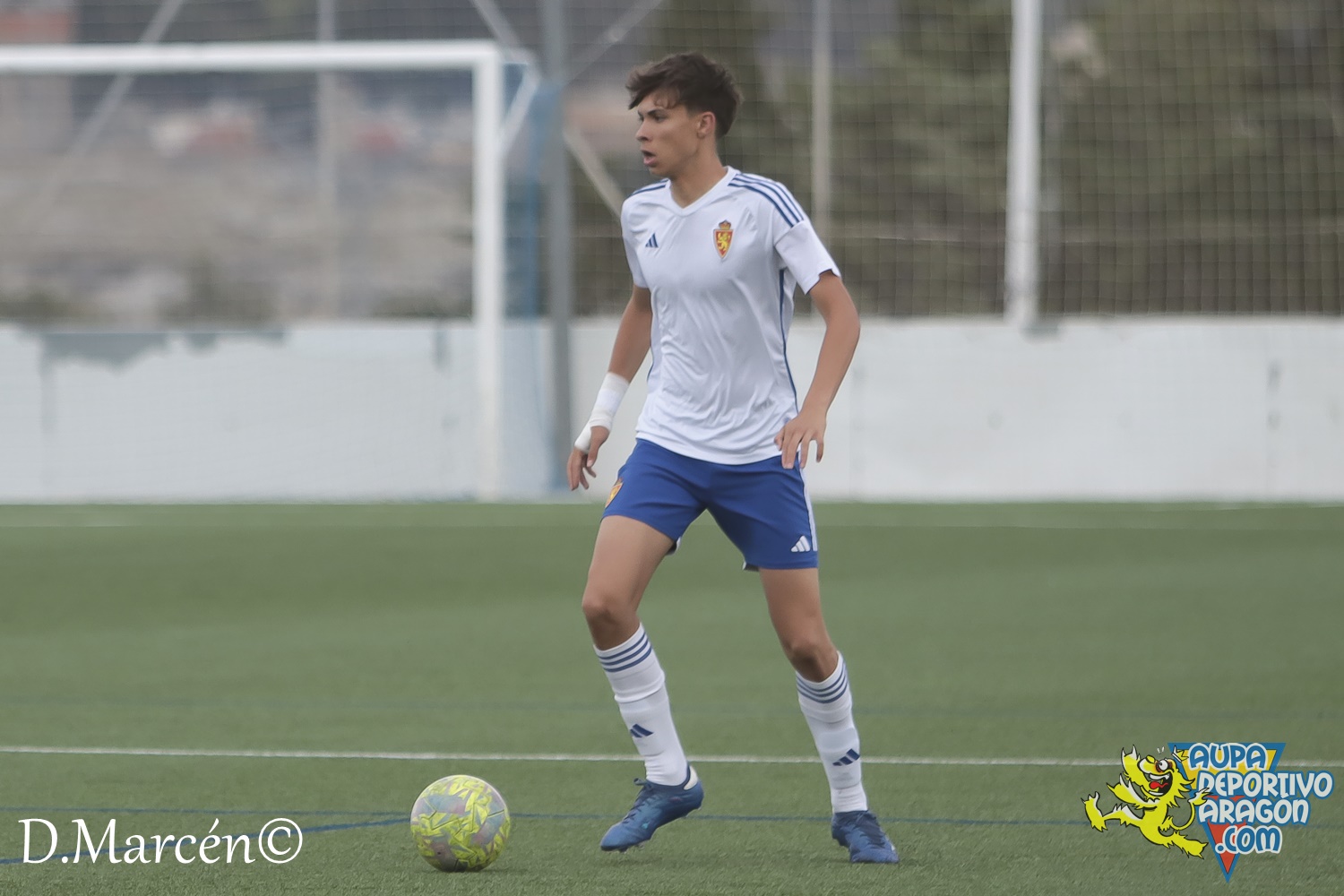 38 - 19-05-2024 - LNJ - R. Zatagoza 6-0 U.D. Montecarlo (8)