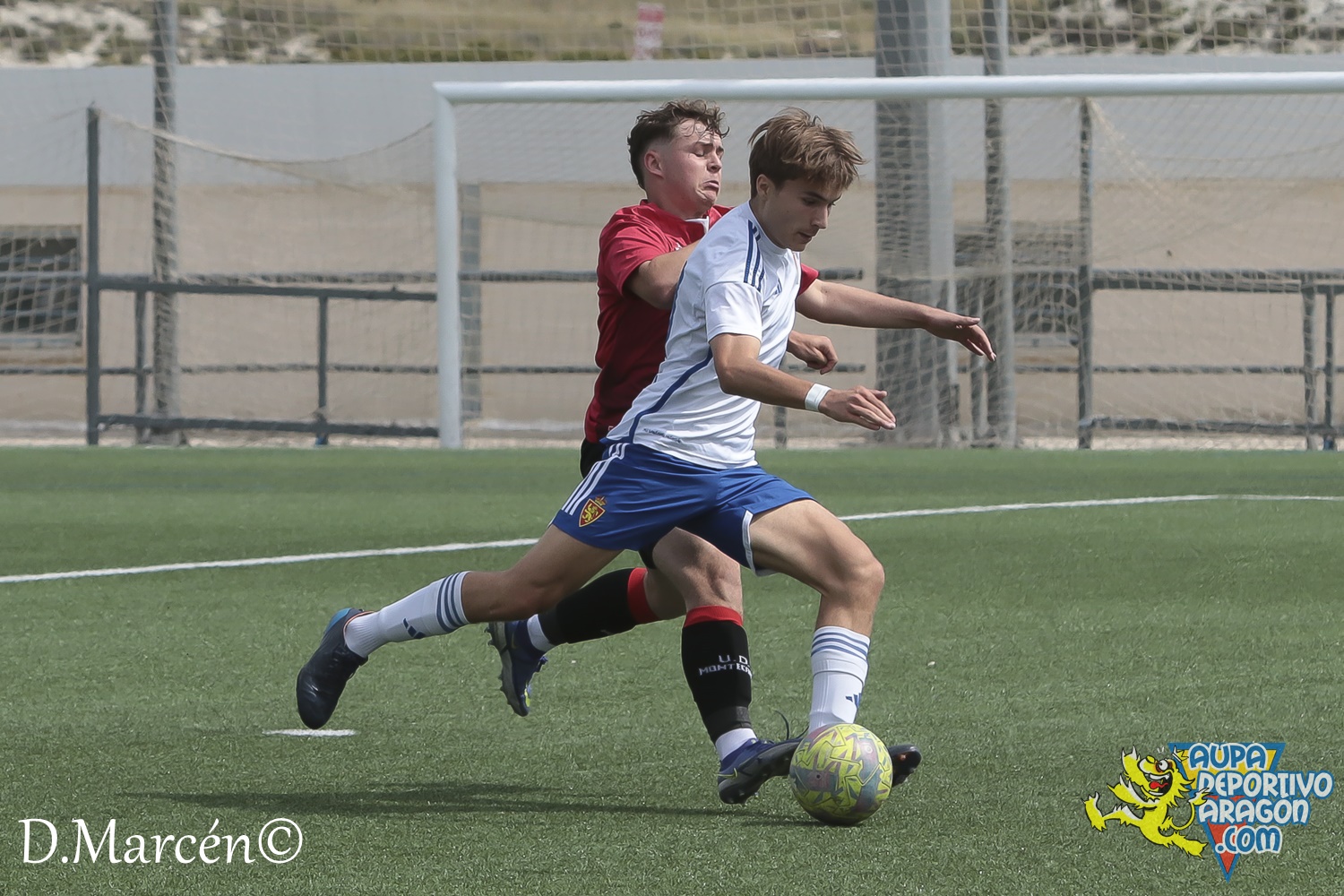 38 - 19-05-2024 - LNJ - R. Zatagoza 6-0 U.D. Montecarlo (83)