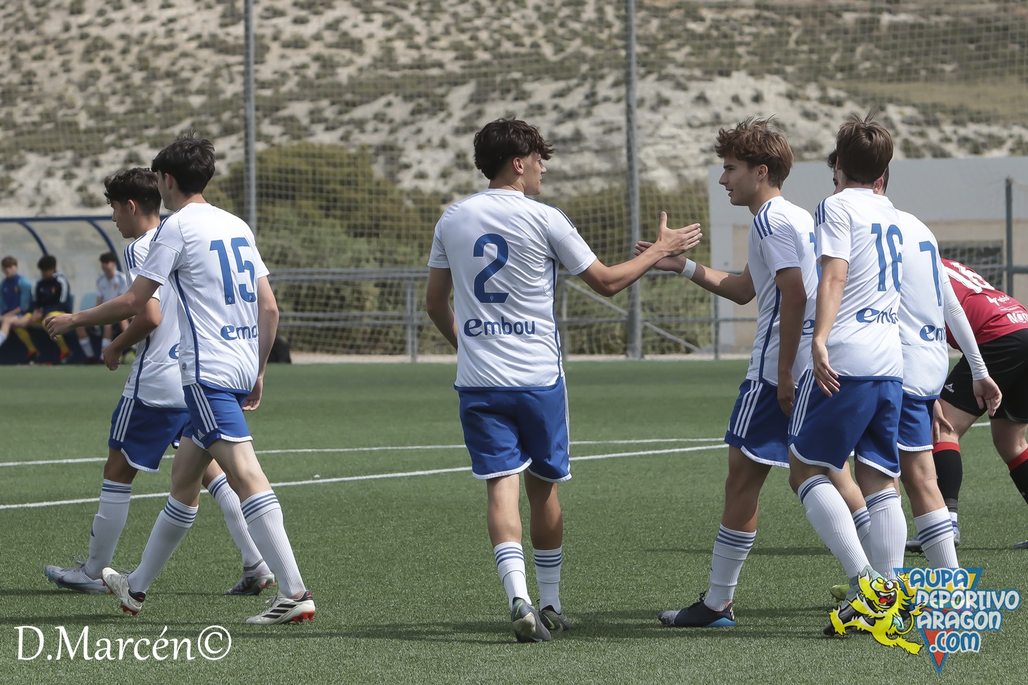 38 - 19-05-2024 - LNJ - R. Zatagoza 6-0 U.D. Montecarlo (87)