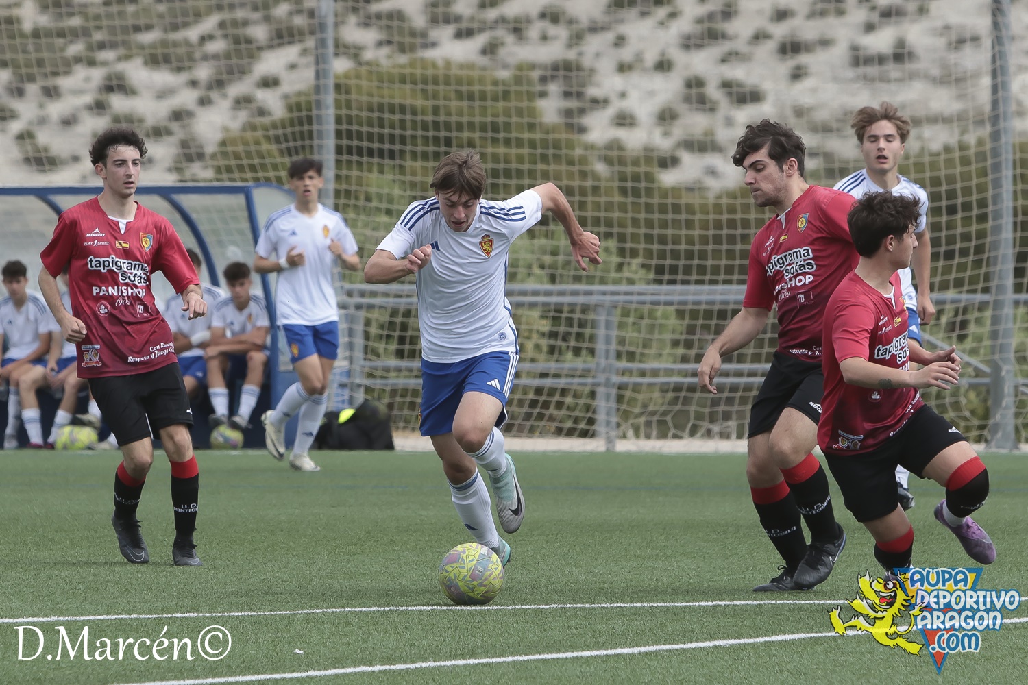 38 - 19-05-2024 - LNJ - R. Zatagoza 6-0 U.D. Montecarlo (96)
