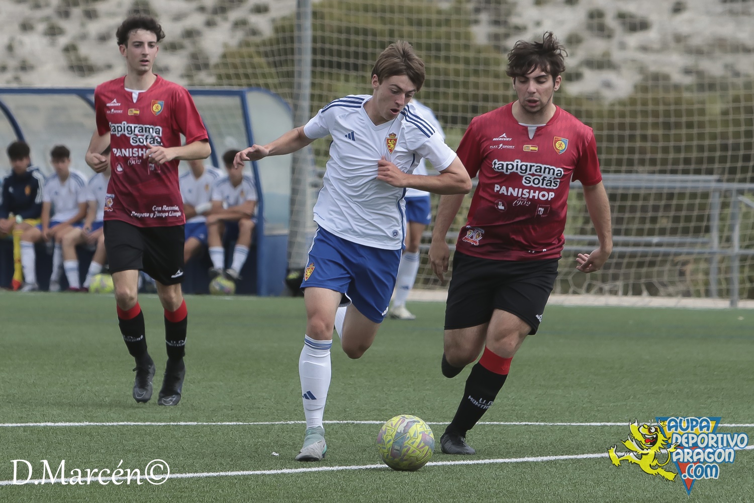 38 - 19-05-2024 - LNJ - R. Zatagoza 6-0 U.D. Montecarlo (97)