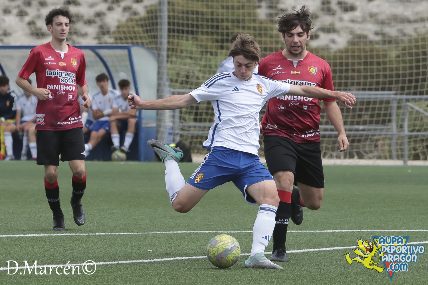 38 - 19-05-2024 - LNJ - R. Zatagoza 6-0 U.D. Montecarlo (98)