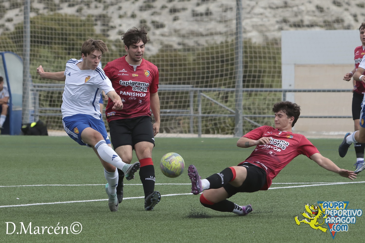 38 - 19-05-2024 - LNJ - R. Zatagoza 6-0 U.D. Montecarlo (99)
