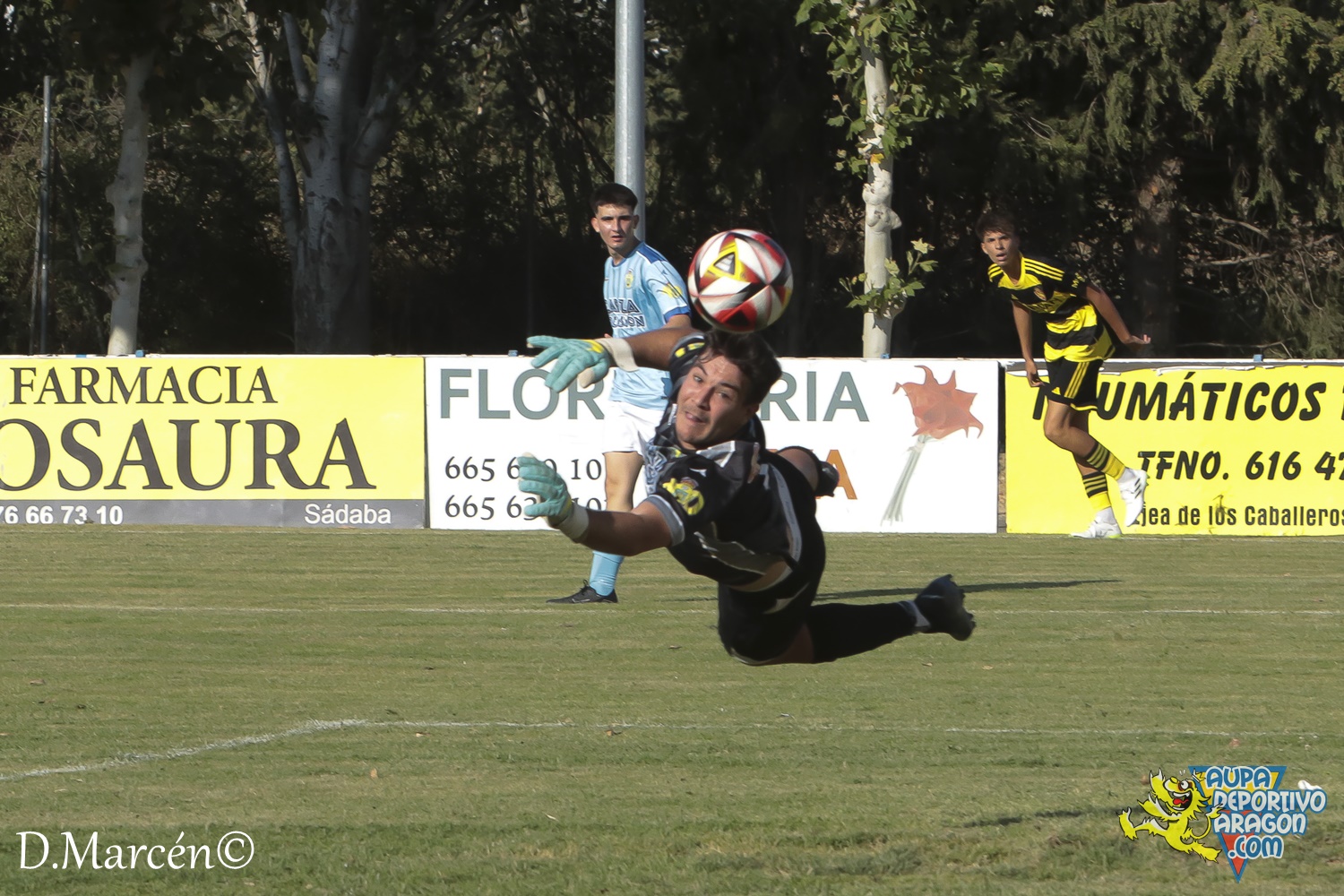 03 - 03-08-2024 - Amistoso - C.D. Sabadense 1.4 D. Aragón (64)
