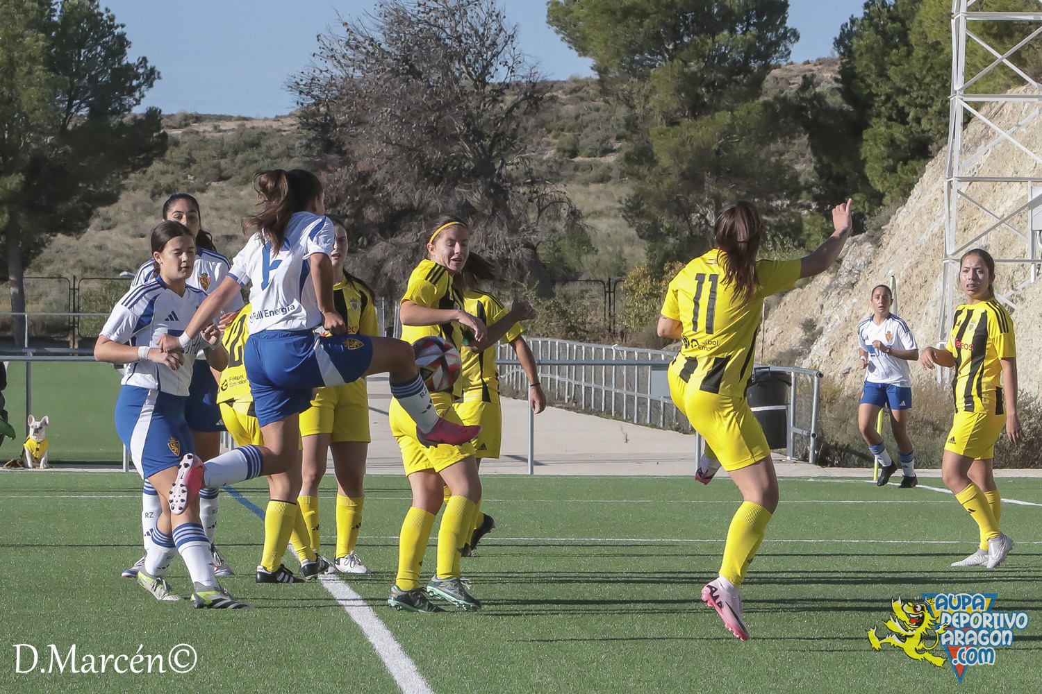 08 - 29-09-2024 - Reg. Pref, Fem, - R. Zaragoza 6-3 U.D. Balsas Picarral (39)