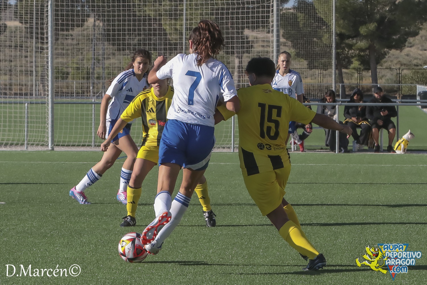 08 - 29-09-2024 - Reg. Pref, Fem, - R. Zaragoza 6-3 U.D. Balsas Picarral (53)