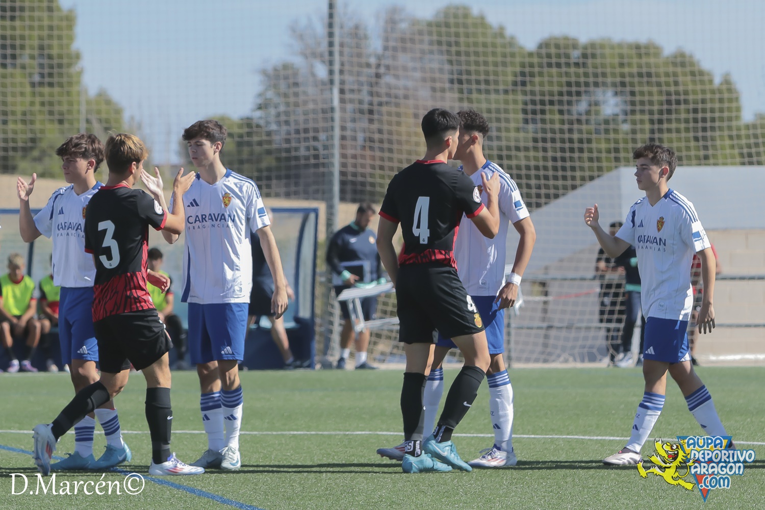 09 - 29-09-2024 - DHJ - R. Zaragoza 2-0 R.C.D. Mallorca (2)