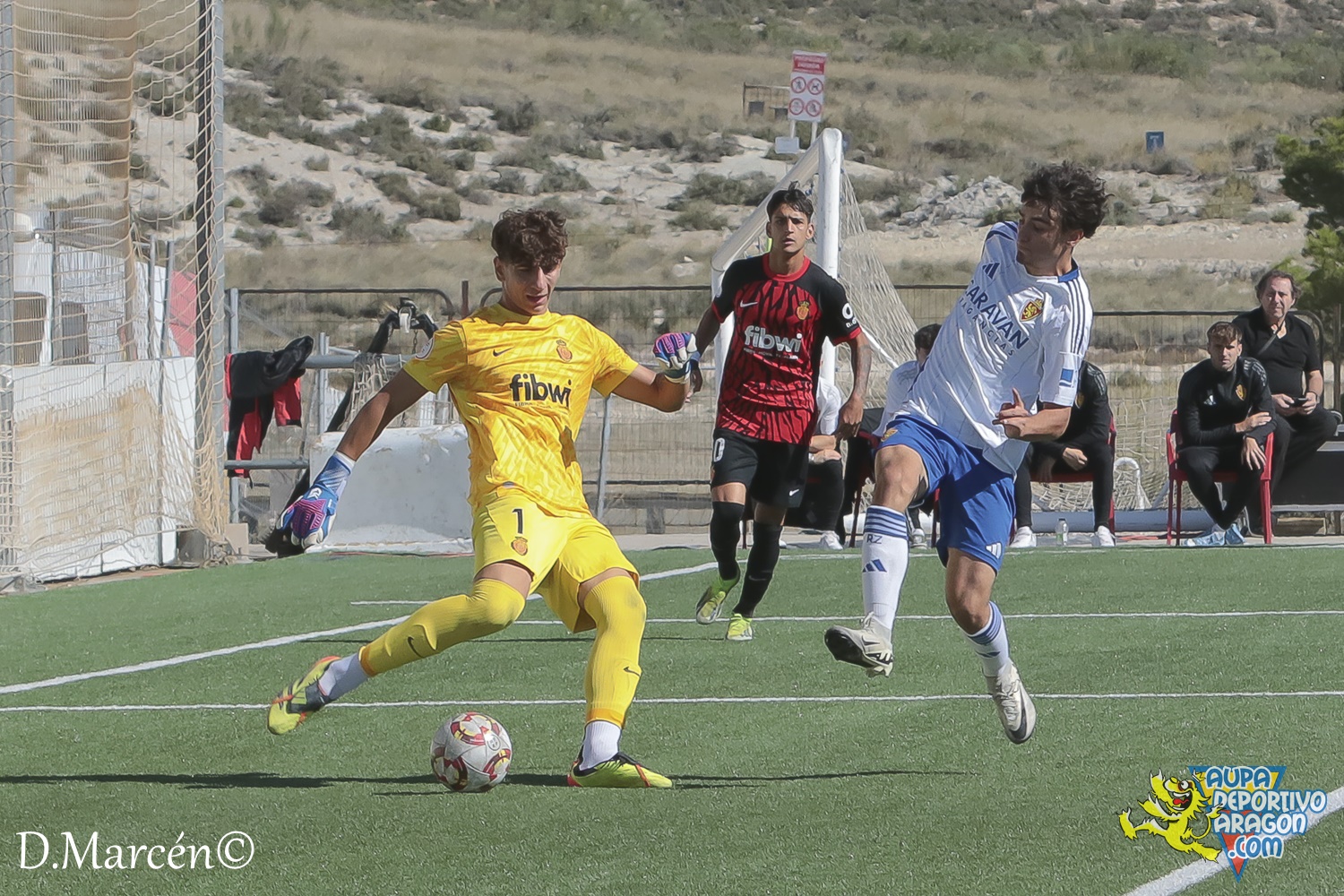 09 - 29-09-2024 - DHJ - R. Zaragoza 2-0 R.C.D. Mallorca (24)