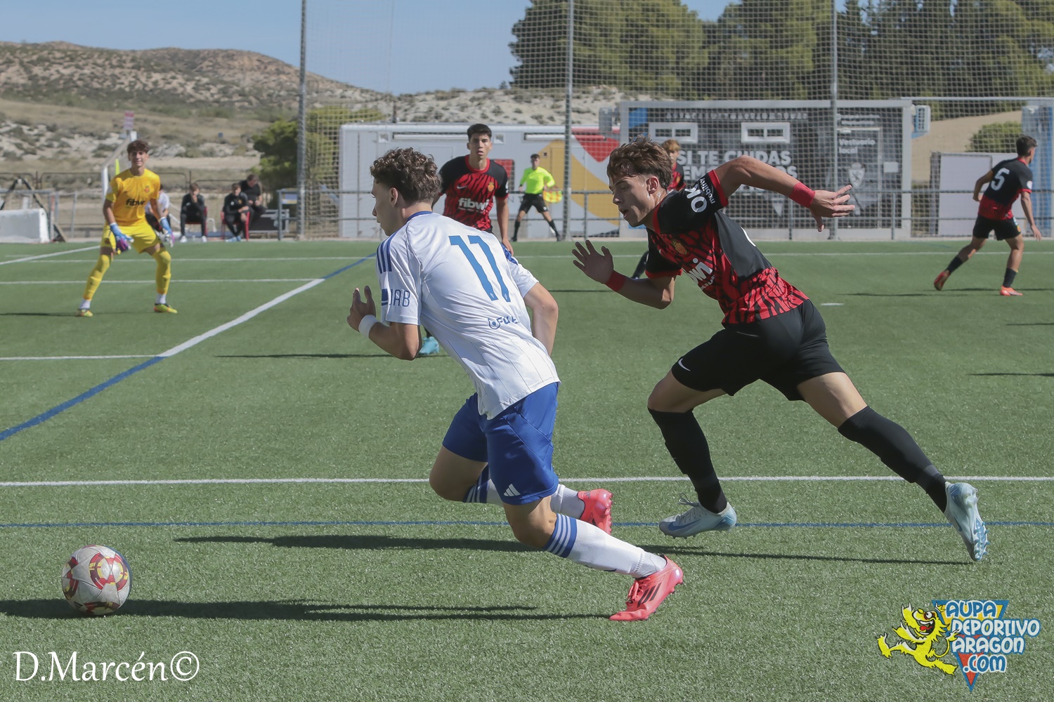09 - 29-09-2024 - DHJ - R. Zaragoza 2-0 R.C.D. Mallorca (25)