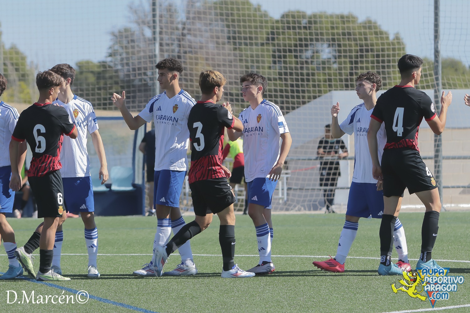 09 - 29-09-2024 - DHJ - R. Zaragoza 2-0 R.C.D. Mallorca (3)
