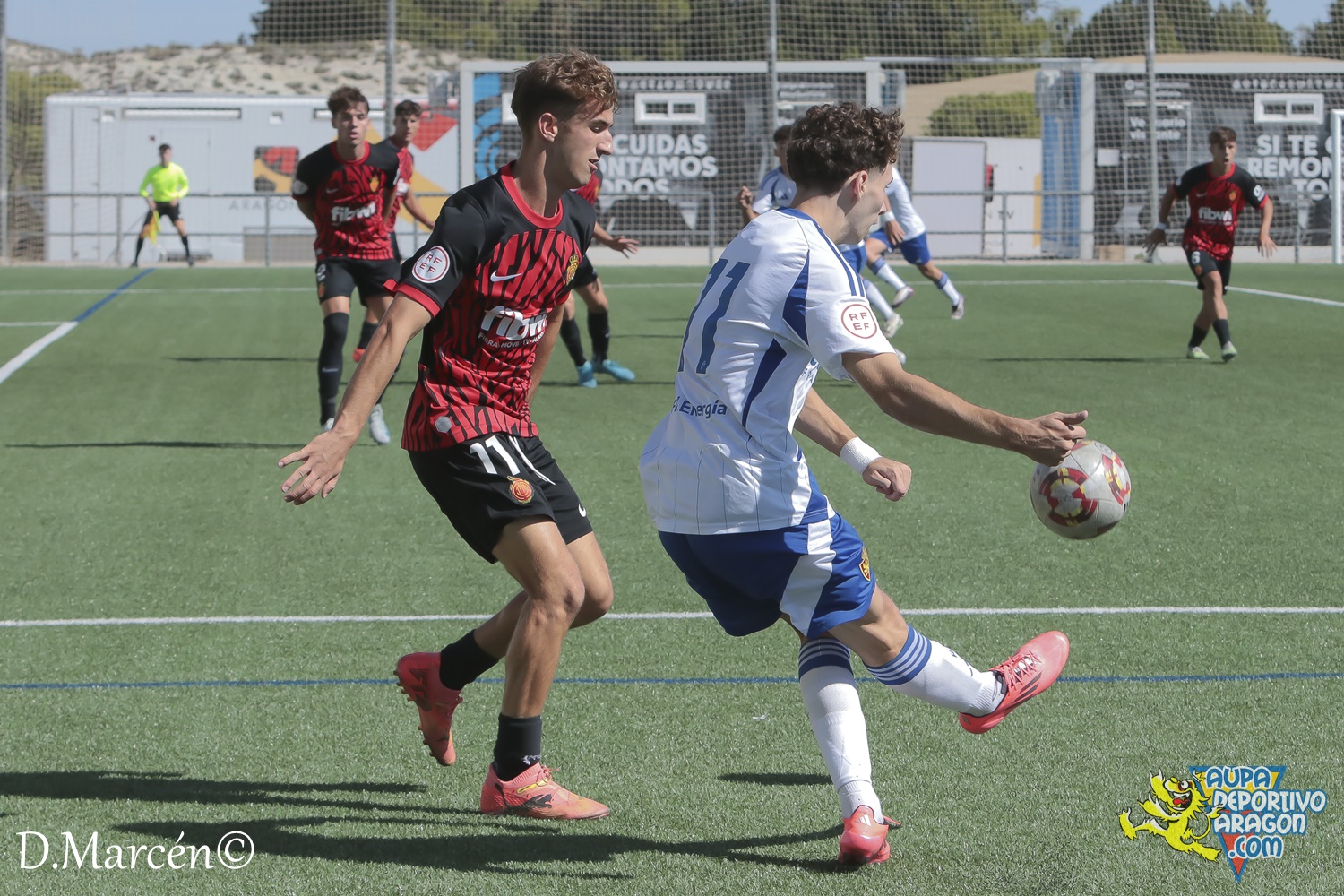 09 - 29-09-2024 - DHJ - R. Zaragoza 2-0 R.C.D. Mallorca (39)