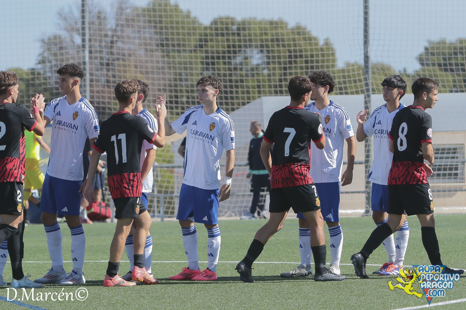 09 - 29-09-2024 - DHJ - R. Zaragoza 2-0 R.C.D. Mallorca (4)