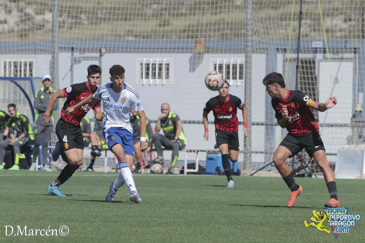 09 - 29-09-2024 - DHJ - R. Zaragoza 2-0 R.C.D. Mallorca (40)