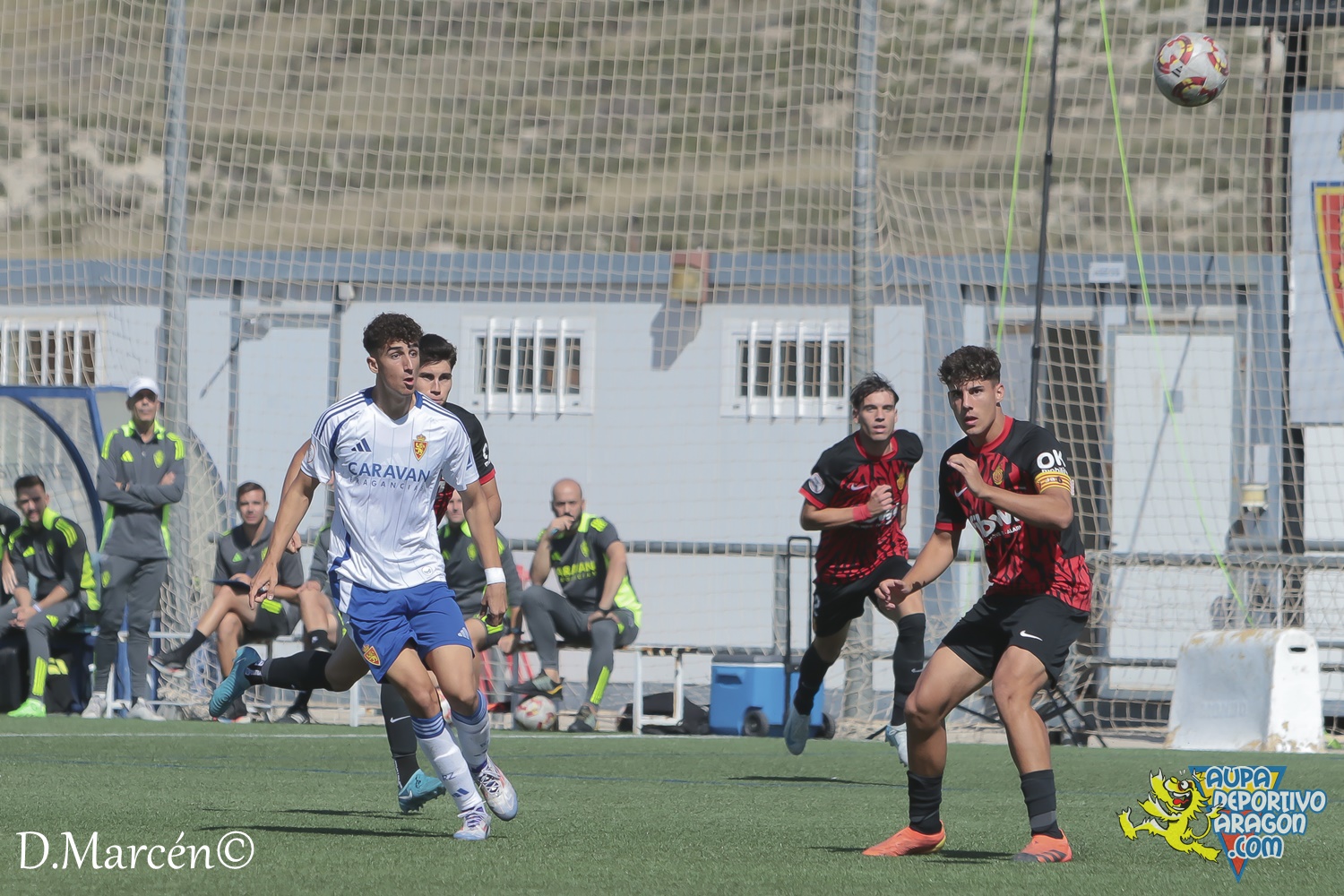 09 - 29-09-2024 - DHJ - R. Zaragoza 2-0 R.C.D. Mallorca (41)