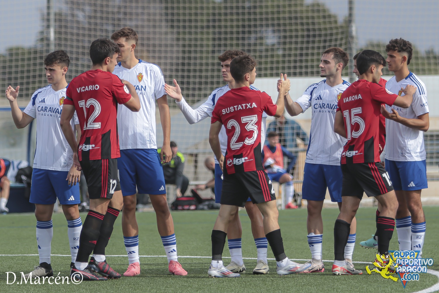 16 - 03-11-2024 - 2ª RFEF - D. Aragón 2.4 S.D. Arenas Getxo (17)