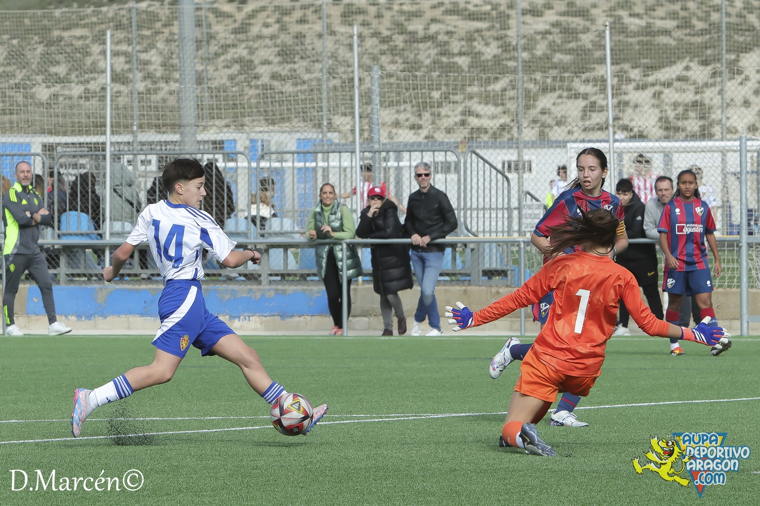 17 - 10-11-2024 - Reg. Pref, Fem, - R. Zaragoza 5-0 S.D. Huesca (117)