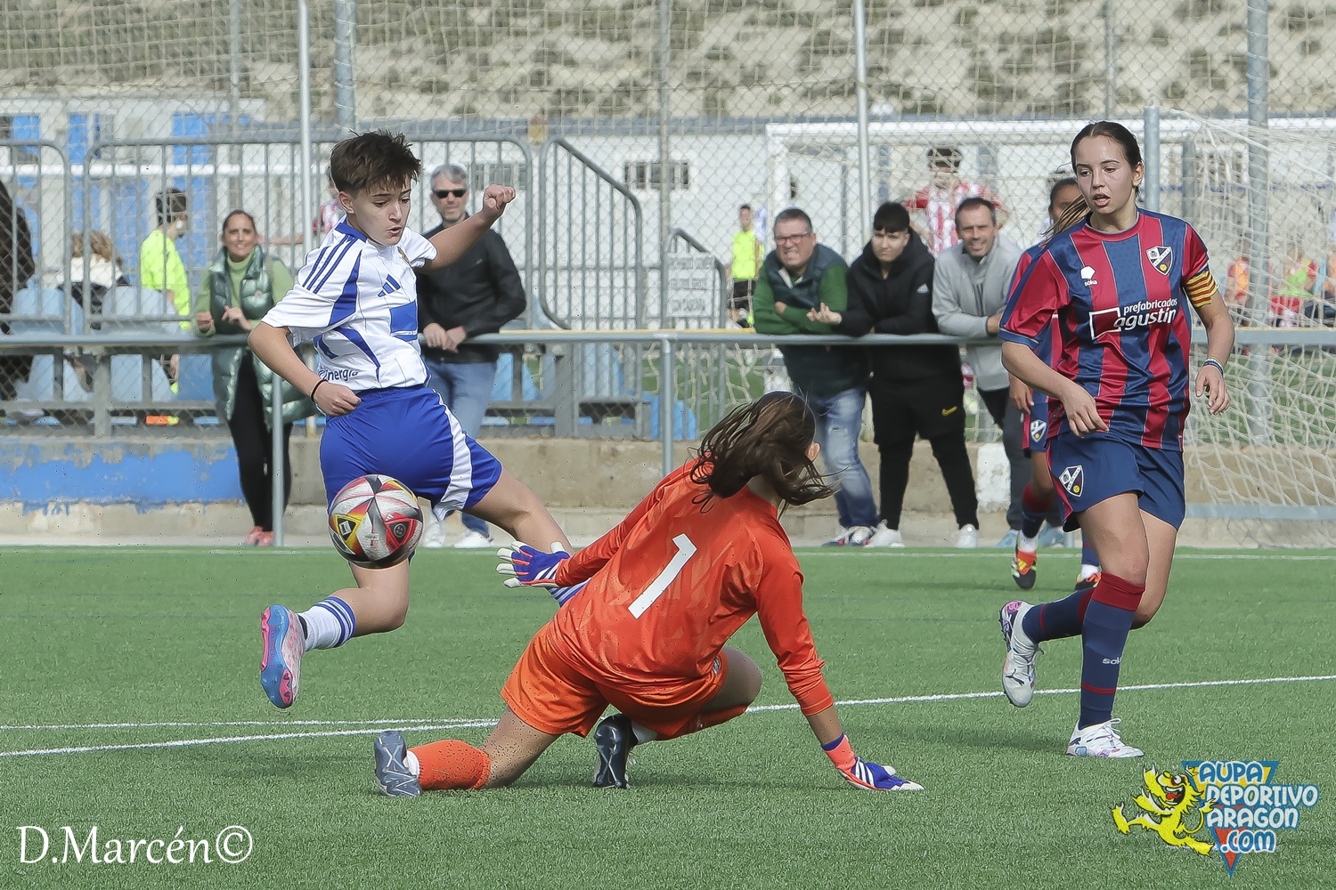 17 - 10-11-2024 - Reg. Pref, Fem, - R. Zaragoza 5-0 S.D. Huesca (118)