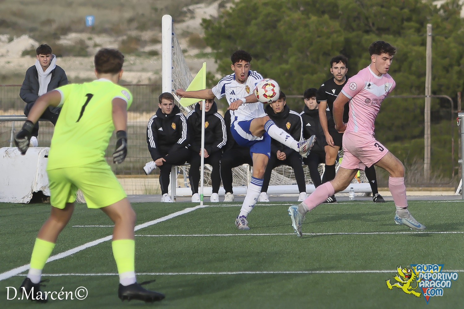 18 - 16-11-2024 - DHJ - R. Zaragoza 4-0 C.F. Badalona (30)