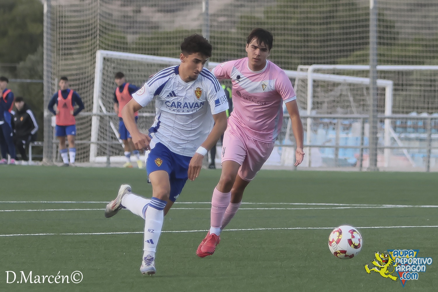 18 - 16-11-2024 - DHJ - R. Zaragoza 4-0 C.F. Badalona (66)