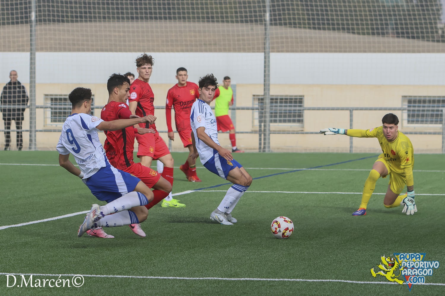 22 - 30-11-2024 - DHJ - R. Zaragoza 1-1 C.F. Damm (100)