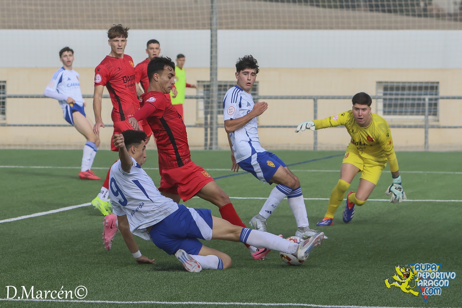 22 - 30-11-2024 - DHJ - R. Zaragoza 1-1 C.F. Damm (101)