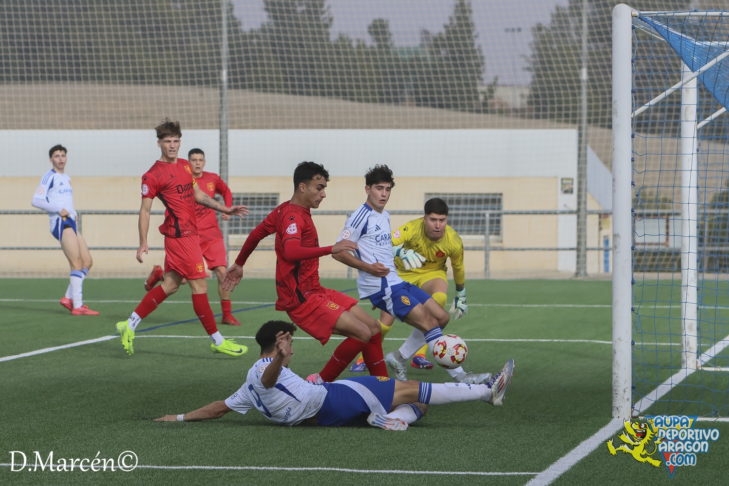 22 - 30-11-2024 - DHJ - R. Zaragoza 1-1 C.F. Damm (102)