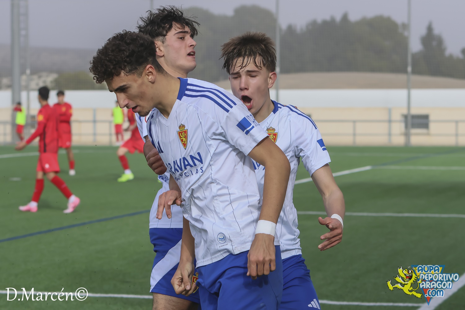 22 - 30-11-2024 - DHJ - R. Zaragoza 1-1 C.F. Damm (109)