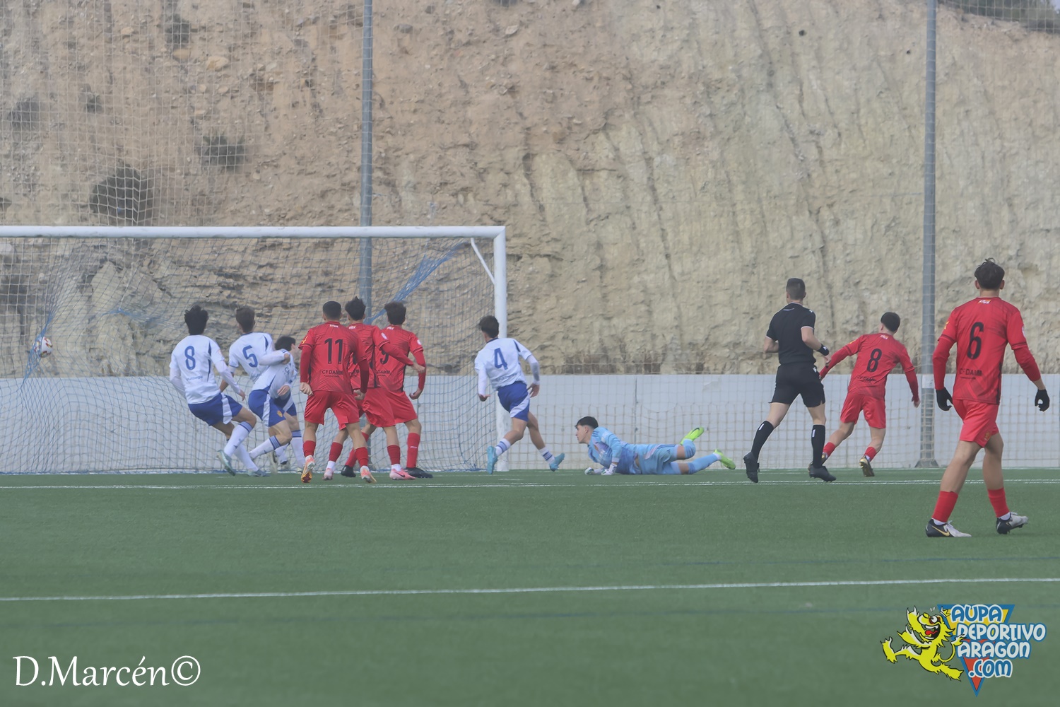 22 - 30-11-2024 - DHJ - R. Zaragoza 1-1 C.F. Damm (131)