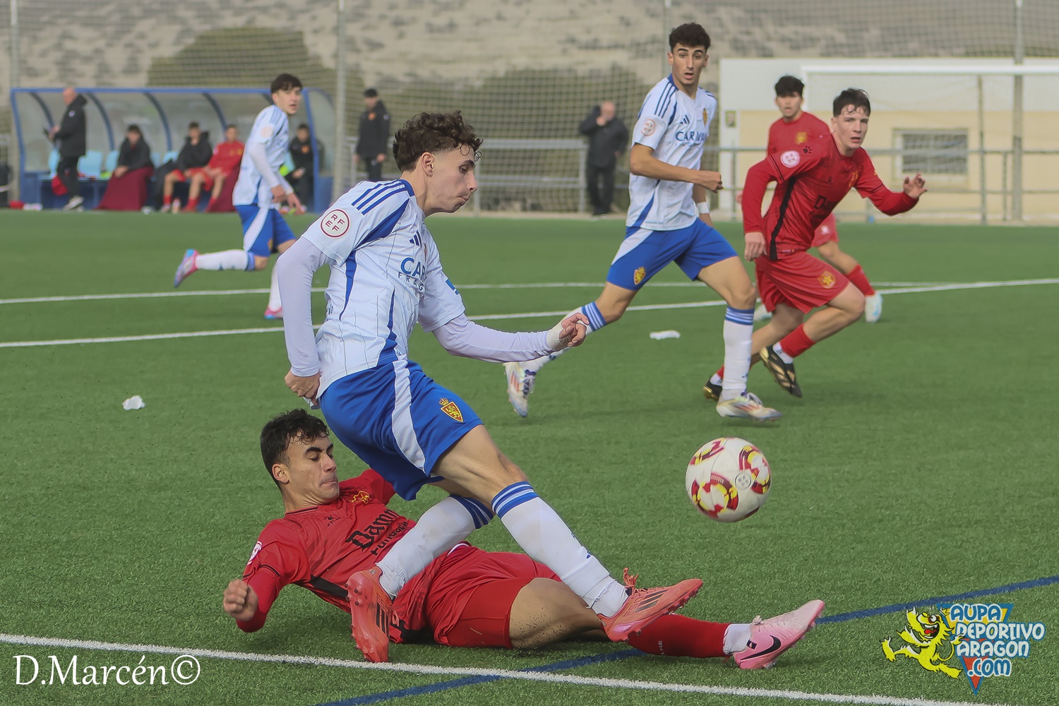 22 - 30-11-2024 - DHJ - R. Zaragoza 1-1 C.F. Damm (143)