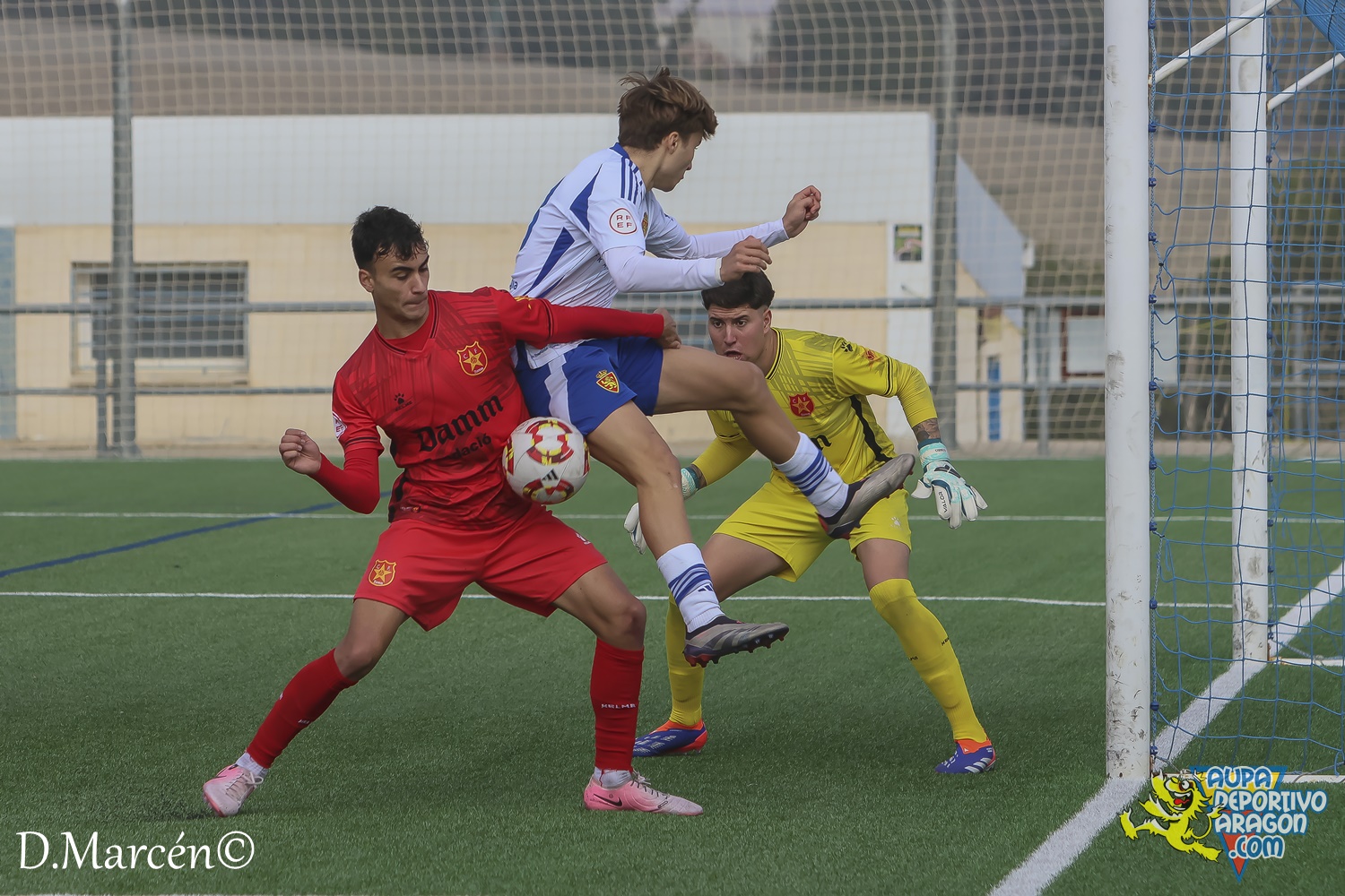 22 - 30-11-2024 - DHJ - R. Zaragoza 1-1 C.F. Damm (150)