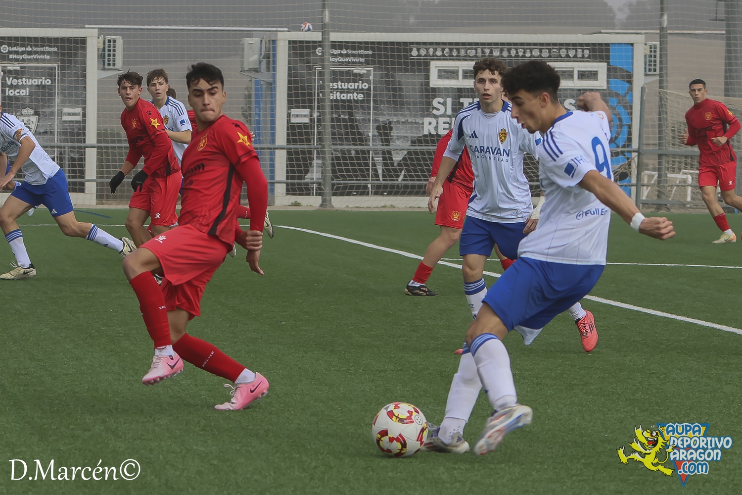 22 - 30-11-2024 - DHJ - R. Zaragoza 1-1 C.F. Damm (41)