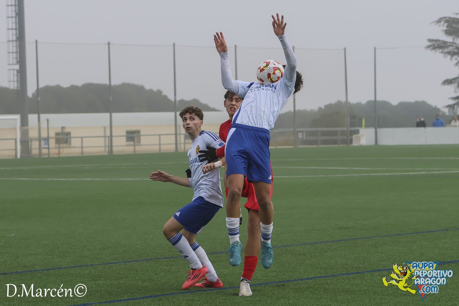 22 - 30-11-2024 - DHJ - R. Zaragoza 1-1 C.F. Damm (48)