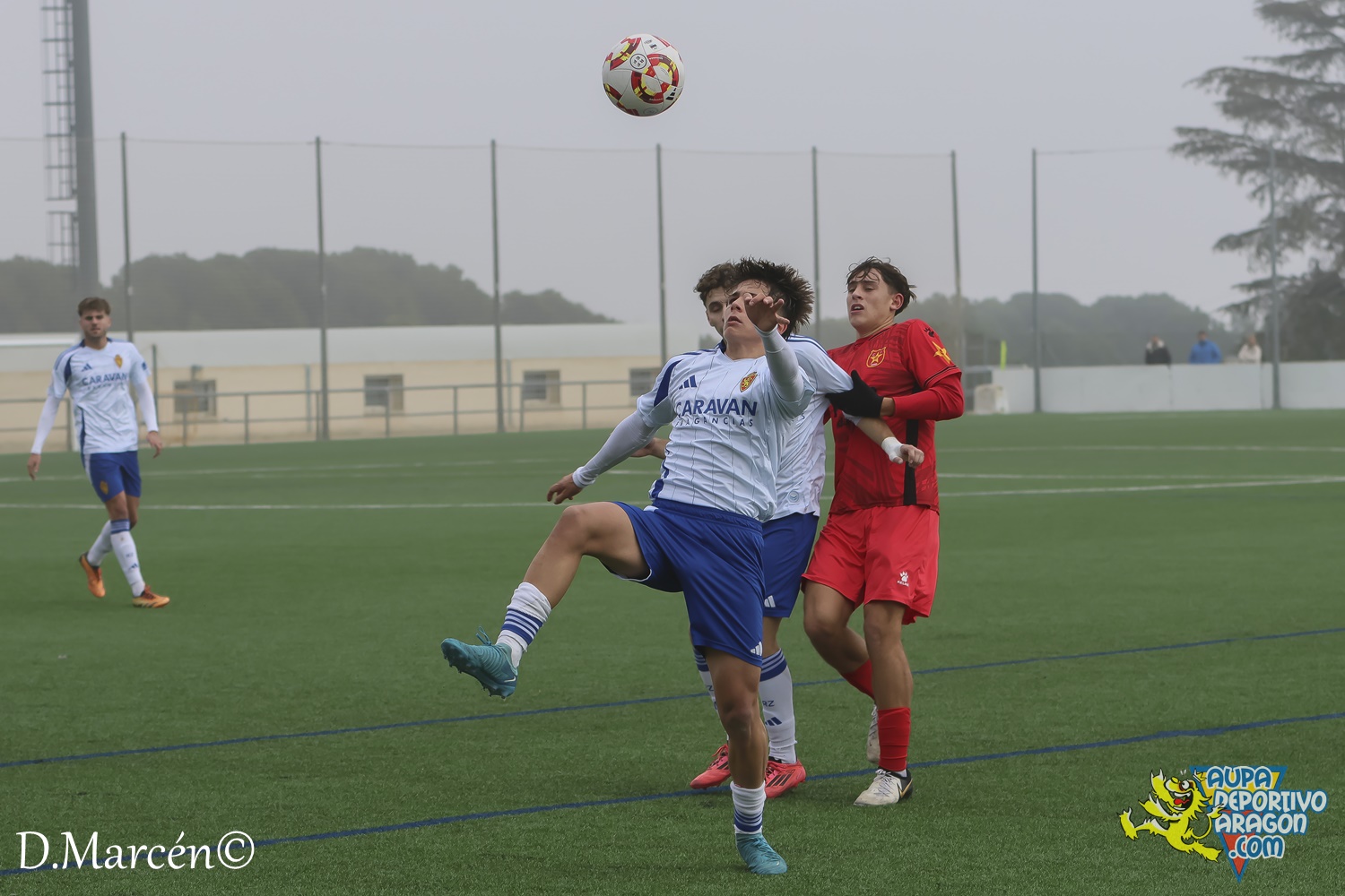 22 - 30-11-2024 - DHJ - R. Zaragoza 1-1 C.F. Damm (49)