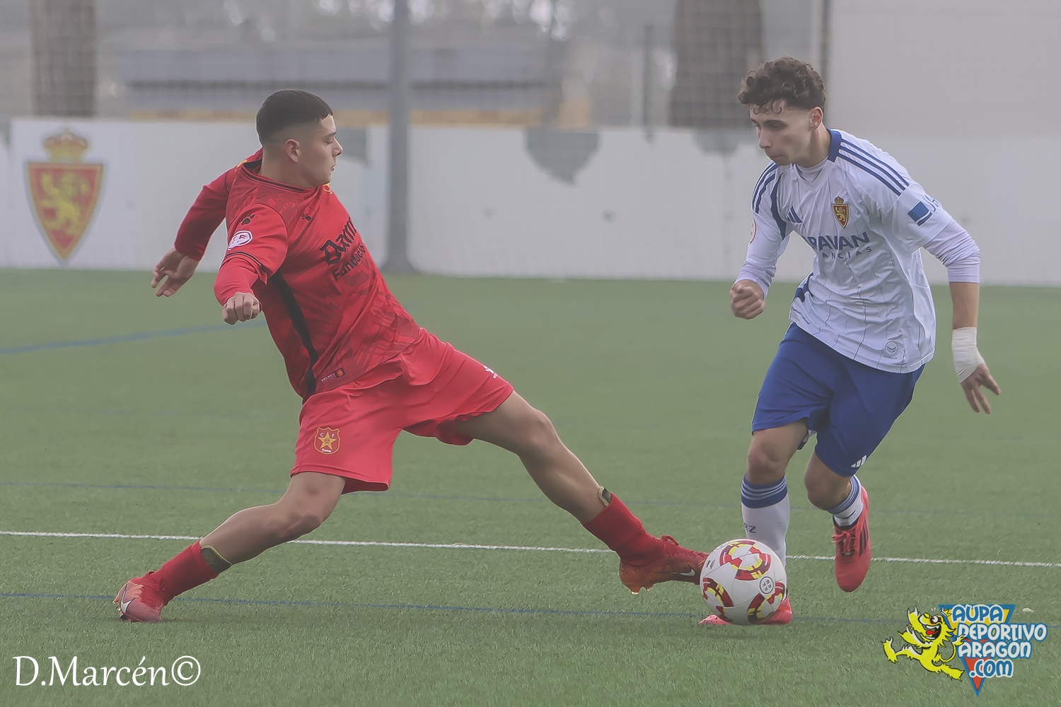 22 - 30-11-2024 - DHJ - R. Zaragoza 1-1 C.F. Damm (77)