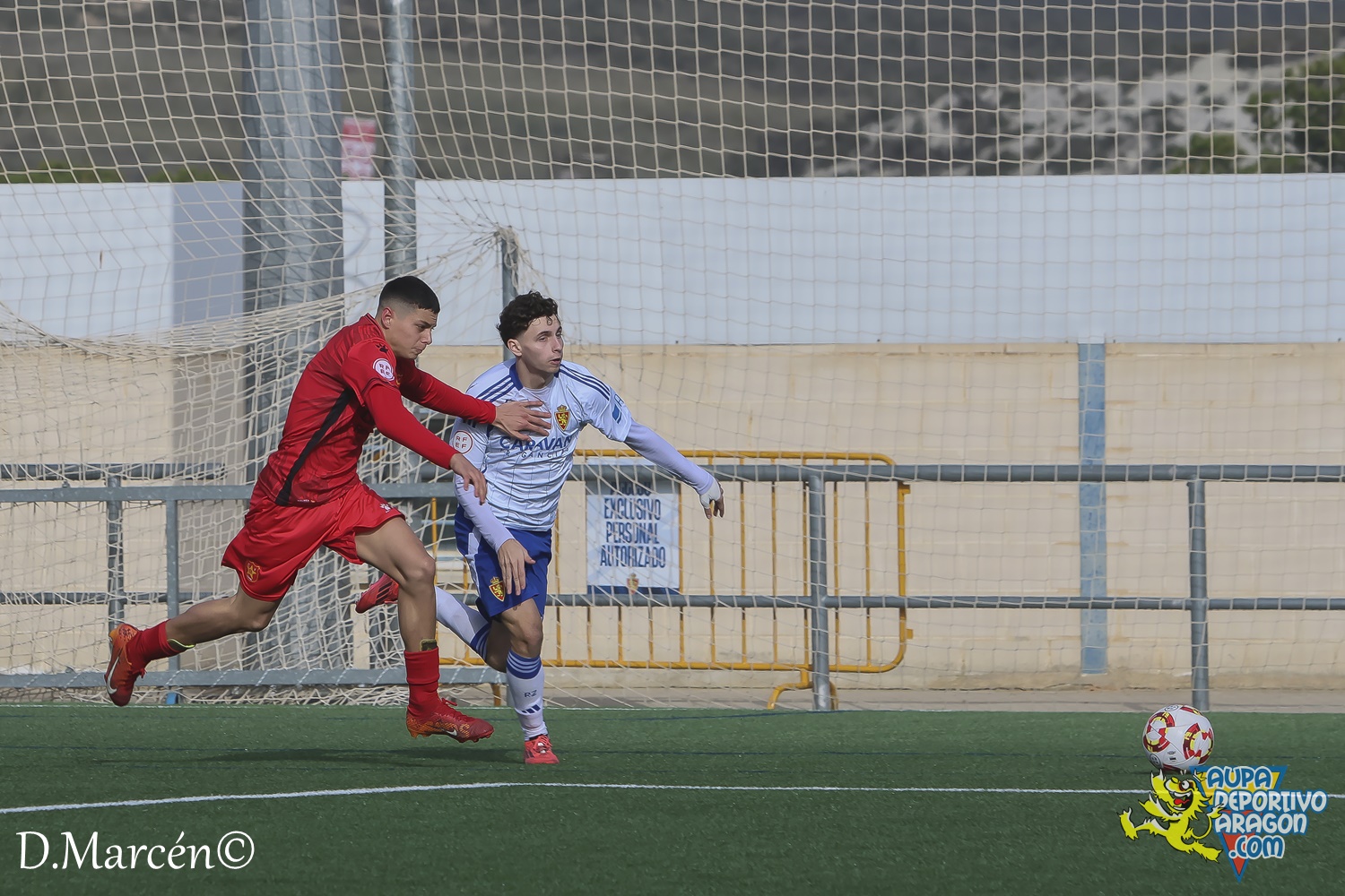 22 - 30-11-2024 - DHJ - R. Zaragoza 1-1 C.F. Damm (81)
