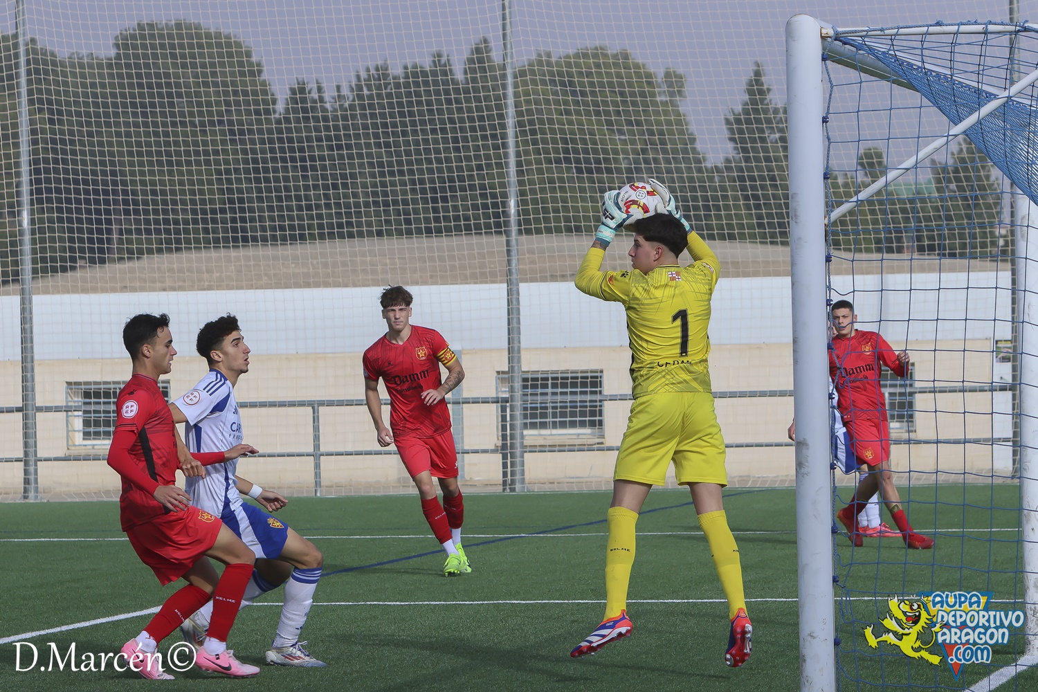 22 - 30-11-2024 - DHJ - R. Zaragoza 1-1 C.F. Damm (84)
