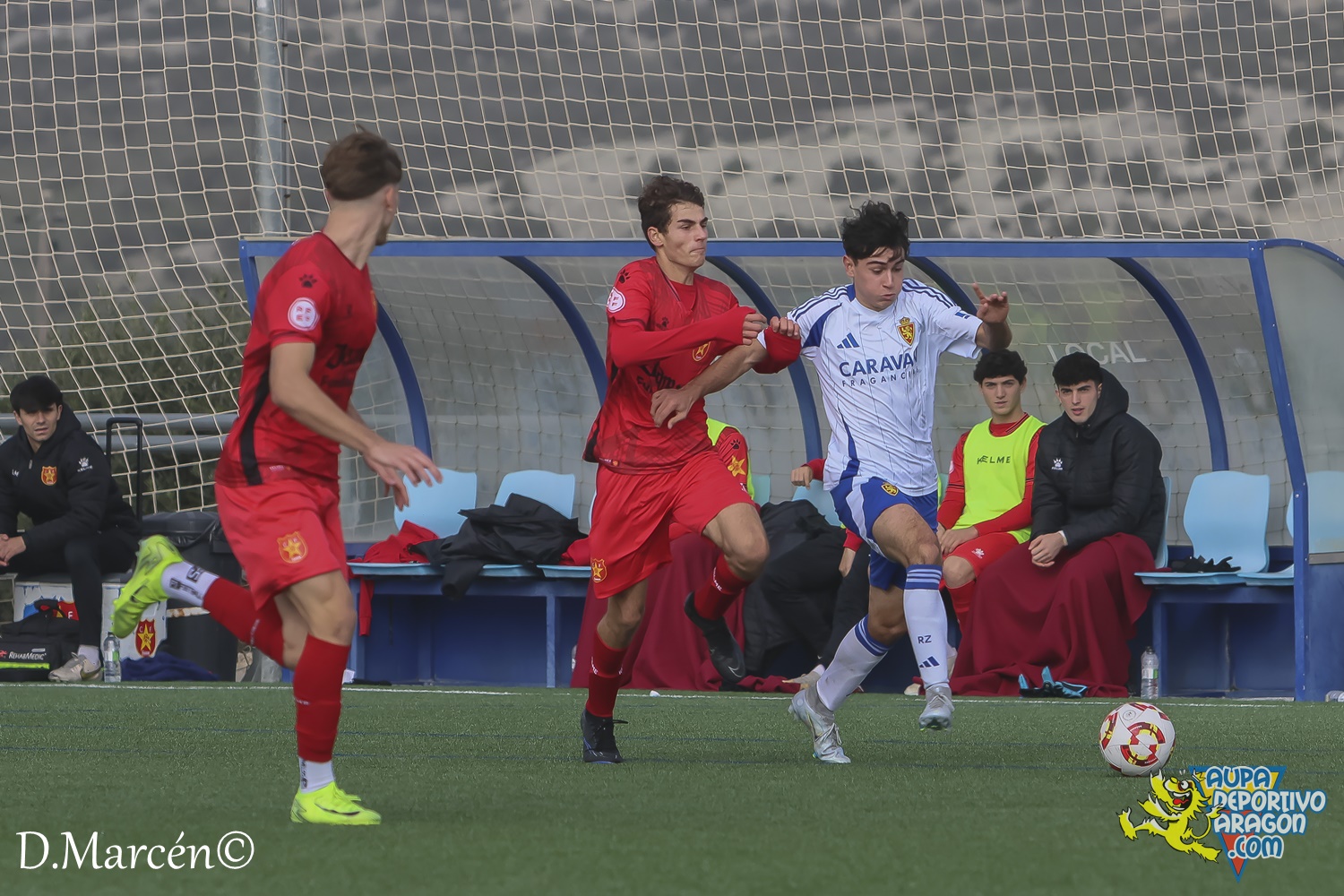 22 - 30-11-2024 - DHJ - R. Zaragoza 1-1 C.F. Damm (89)