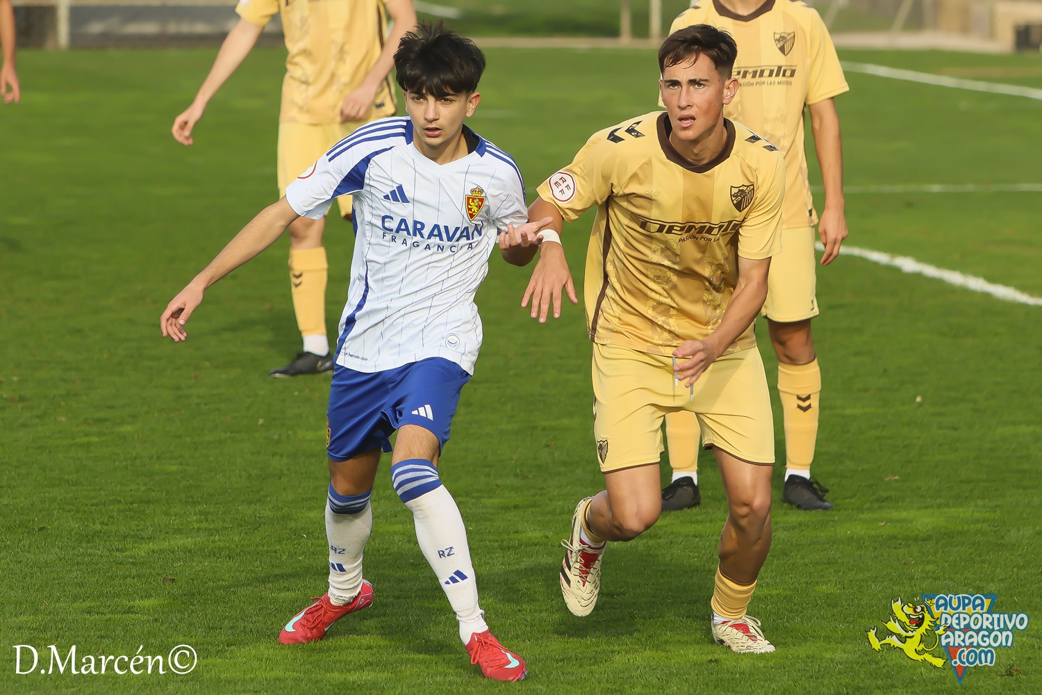 37 - 19-02-2025 - Copa Rey Juvenil - R. Zaragoza 2-1 Malaga C (47)