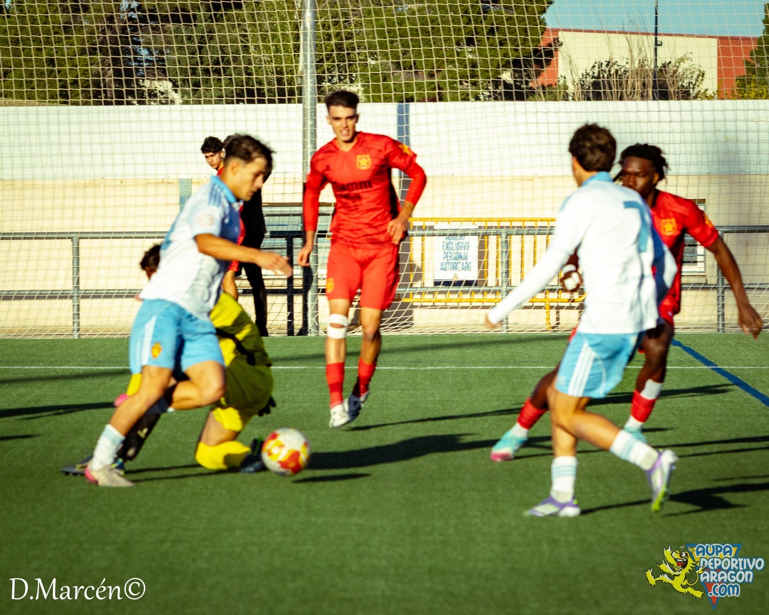 12 - 08-11-2025 - DHJ - R. Zaragoza 2-1 C.F. Damm (24)