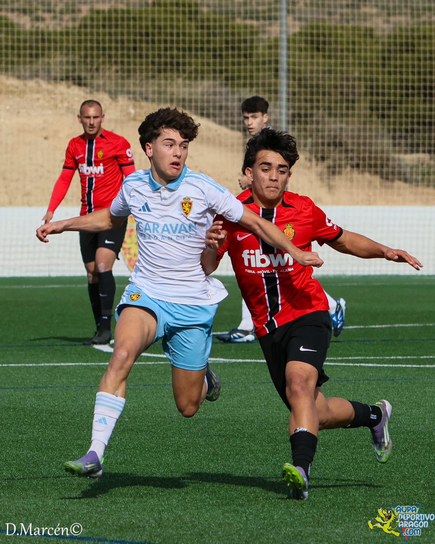 26 - 15-02-2026 - DHJ - R. Zaragza 1-1 RCD Mallorca (16)