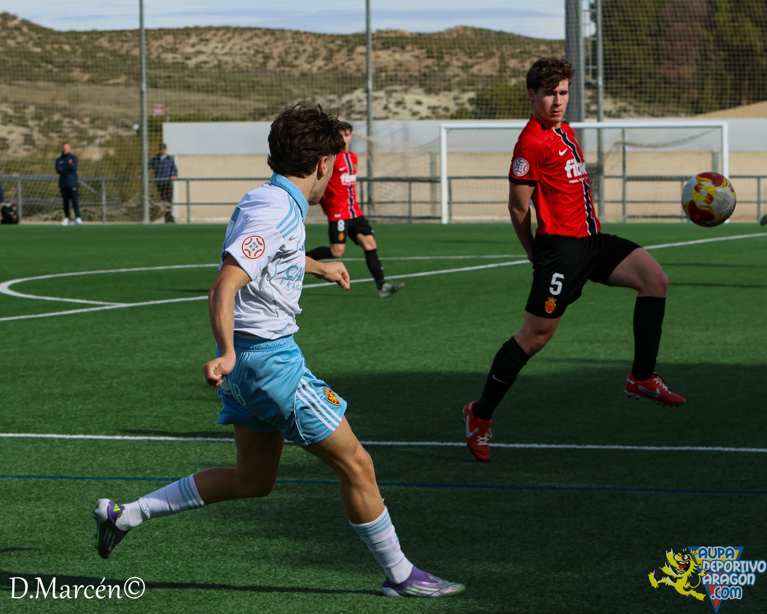 26 - 15-02-2026 - DHJ - R. Zaragza 1-1 RCD Mallorca (20)