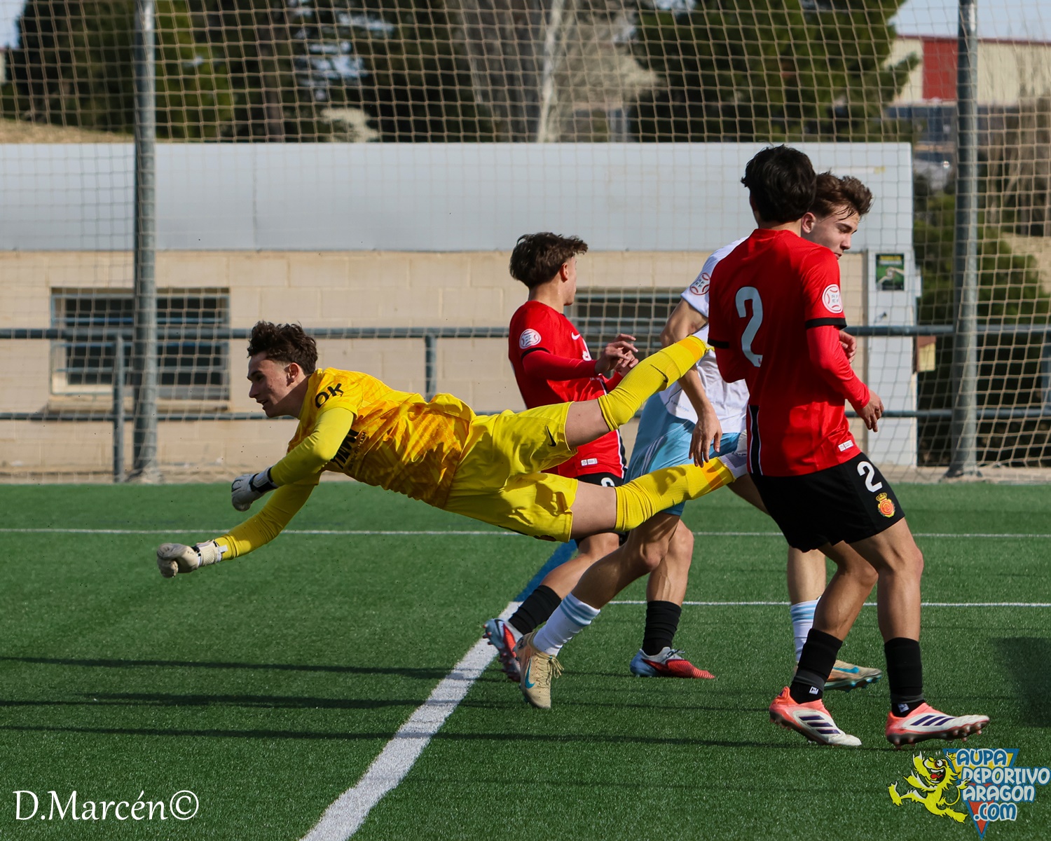 26 - 15-02-2026 - DHJ - R. Zaragza 1-1 RCD Mallorca (21)