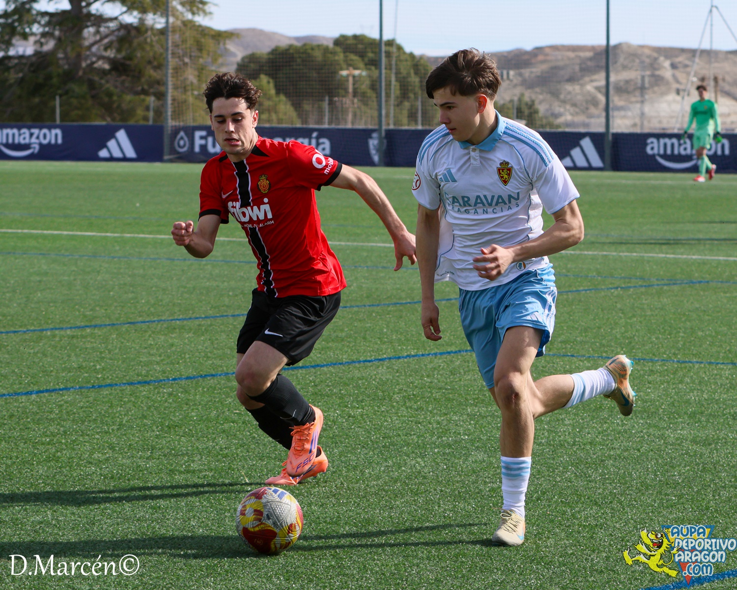 26 - 15-02-2026 - DHJ - R. Zaragza 1-1 RCD Mallorca (25)