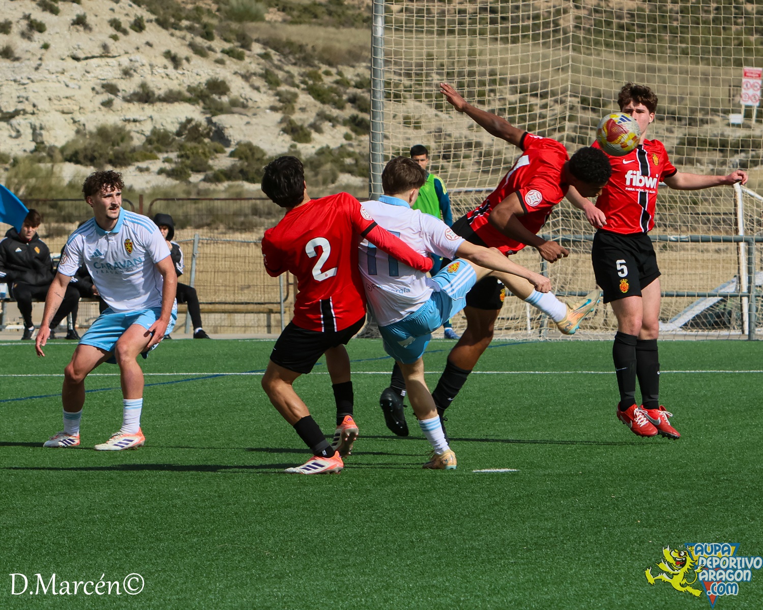 26 - 15-02-2026 - DHJ - R. Zaragza 1-1 RCD Mallorca (35)