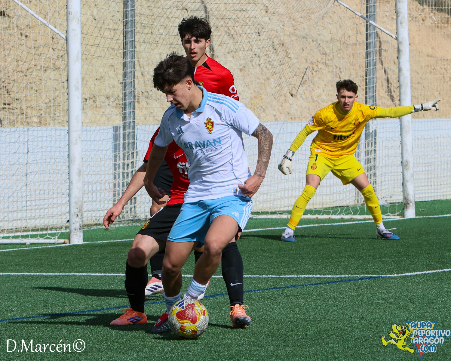26 - 15-02-2026 - DHJ - R. Zaragza 1-1 RCD Mallorca (36)