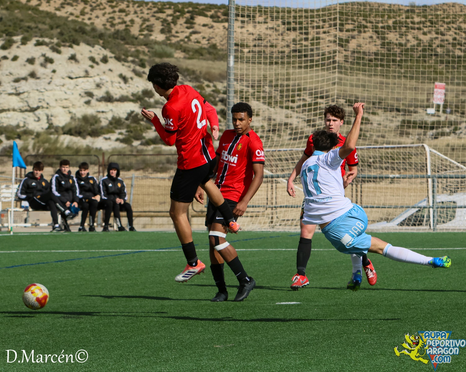 26 - 15-02-2026 - DHJ - R. Zaragza 1-1 RCD Mallorca (40)
