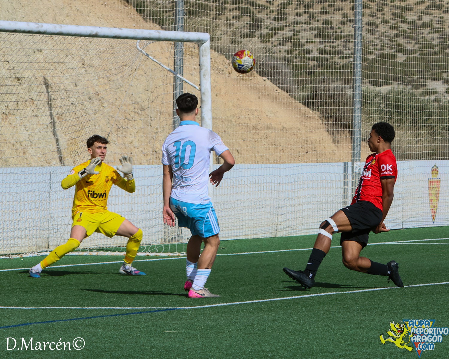 26 - 15-02-2026 - DHJ - R. Zaragza 1-1 RCD Mallorca (41)