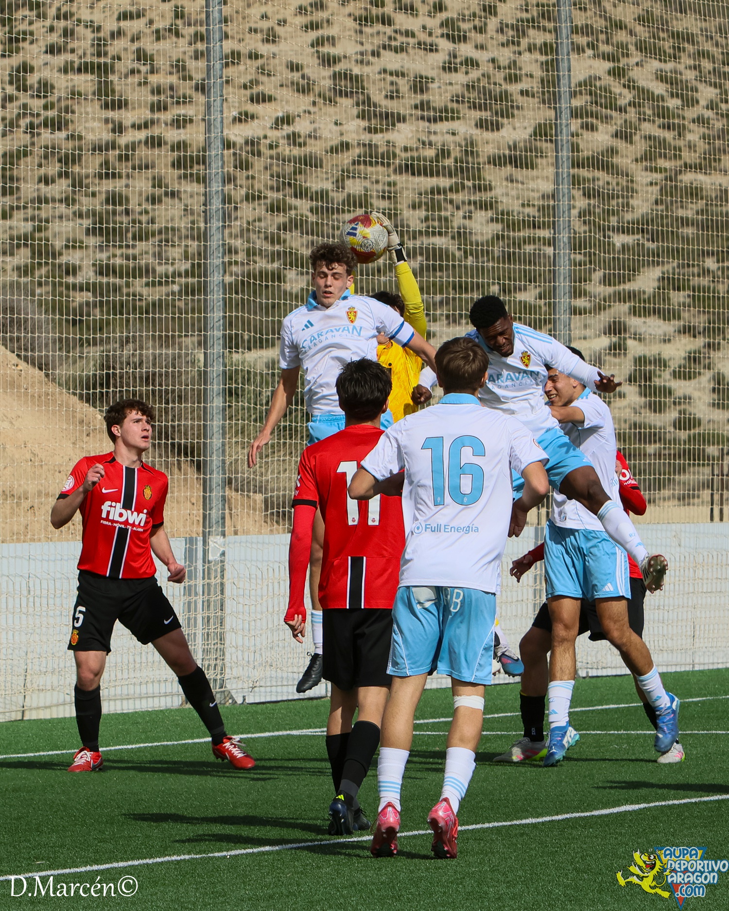 26 - 15-02-2026 - DHJ - R. Zaragza 1-1 RCD Mallorca (59)