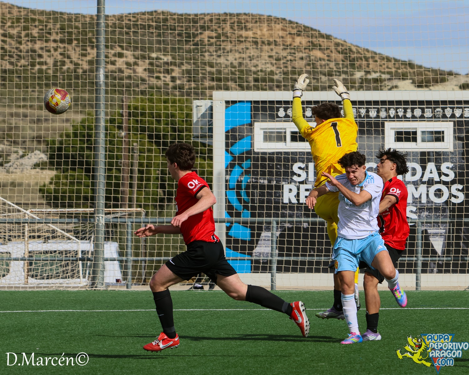 26 - 15-02-2026 - DHJ - R. Zaragza 1-1 RCD Mallorca (65)